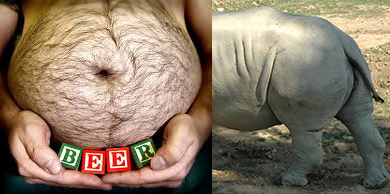 Click image for larger version

Name:	beer belly-rhino.jpg

Size:	94.5 KB
ID:	25592