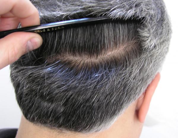 Image uploaded by: Dr. Robert J. Dorin