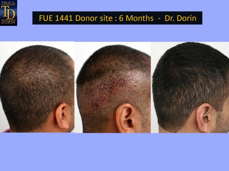 Image uploaded by: Dr. Robert Dorin