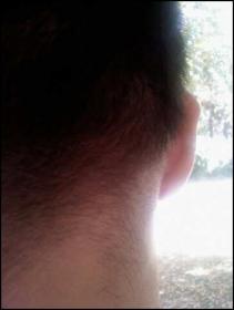 Click image for larger version

Name:	backofhead.jpg

Size:	6.5 KB
ID:	7210