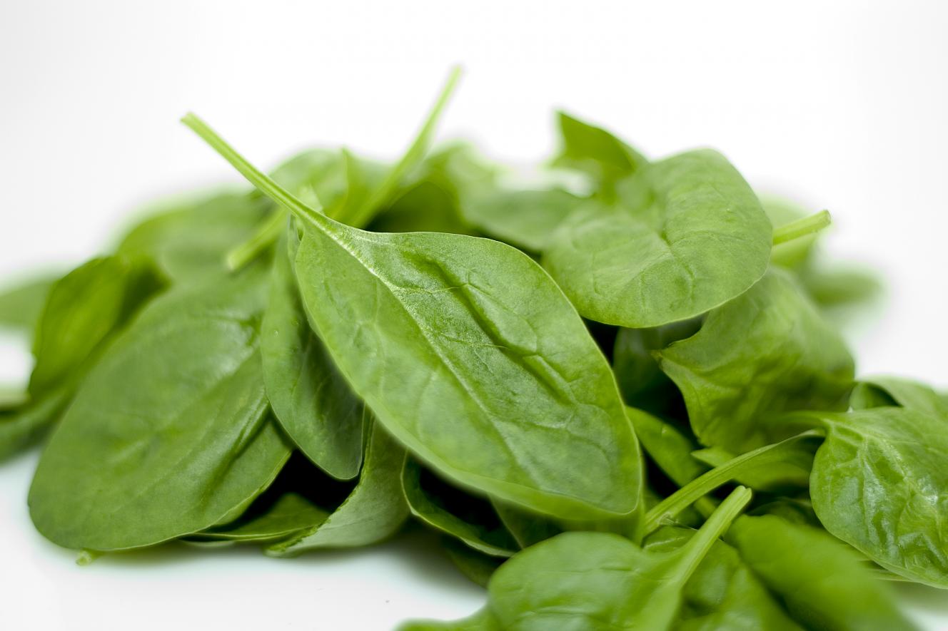 Click image for larger version

Name:	Spinach.jpg

Size:	84.8 KB
ID:	42763