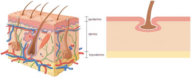 Click image for larger version

Name:	diagram.jpg

Size:	19.5 KB
ID:	45880