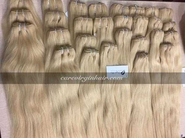 Vietnamese Cambodian Hair Machine weft straight color 613