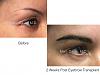 Click image for larger version

Name:	eyebrowT.003.jpg

Size:	11.5 KB
ID:	55621