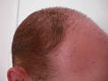 Click image for larger version

Name:	DSC00920-W800.jpg
Views:	491
Size:	30.9 KB
ID:	432187