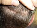Click image for larger version

Name:	hair 005.jpg
Views:	389
Size:	94.8 KB
ID:	432217