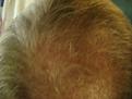 Click image for larger version

Name:	hair 068.jpg
Views:	347
Size:	90.9 KB
ID:	432220
