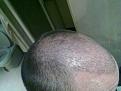 Click image for larger version

Name:	01092011353 small.jpg
Views:	418
Size:	29.1 KB
ID:	432821