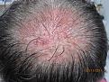 Click image for larger version

Name:	IMG_6097.JPG
Views:	428
Size:	59.9 KB
ID:	432894