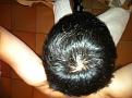 Click image for larger version

Name:	dryhair (1).jpg
Views:	431
Size:	88.0 KB
ID:	432900