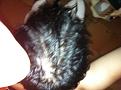 Click image for larger version

Name:	wethair (1).jpg
Views:	469
Size:	84.2 KB
ID:	432971