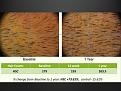 Click image for larger version

Name:	Histogen Results.jpg
Views:	425
Size:	87.9 KB
ID:	433228