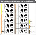 Click image for larger version

Name:	hamilton_norwood.jpg
Views:	446
Size:	20.2 KB
ID:	433292