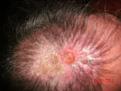 Click image for larger version

Name:	GEDC1198.JPG
Views:	429
Size:	95.6 KB
ID:	433320