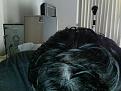 Click image for larger version

Name:	Photo on 2011-10-30 at 12.03 #3.jpg
Views:	345
Size:	39.0 KB
ID:	433339