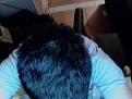 Click image for larger version

Name:	Photo on 2011-11-11 at 04.10 #2.jpg
Views:	337
Size:	35.1 KB
ID:	433403