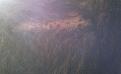Click image for larger version

Name:	2012-01-05 14.00.34.jpg
Views:	351
Size:	60.6 KB
ID:	433521