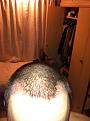 Click image for larger version

Name:	IMG_0406.jpg
Views:	834
Size:	87.7 KB
ID:	433607