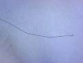 Click image for larger version

Name:	transplanted hair 1.jpg
Views:	471
Size:	57.9 KB
ID:	433751
