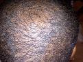 Click image for larger version

Name:	IMG-20120229-00255-crop.jpg
Views:	756
Size:	103.3 KB
ID:	433809