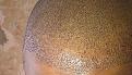 Click image for larger version

Name:	IMG-20120328-00332-crop.jpg
Views:	688
Size:	86.5 KB
ID:	433821