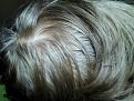 Click image for larger version

Name:	dryhair.JPG
Views:	2003
Size:	73.3 KB
ID:	434528