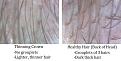 Click image for larger version

Name:	comparison hair 9.19.12.jpg
Views:	444
Size:	63.7 KB
ID:	434609