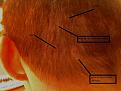 Click image for larger version

Name:	density.jpg
Views:	1019
Size:	33.6 KB
ID:	434695