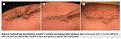 Click image for larger version

Name:	Intercytex.jpg
Views:	409
Size:	19.3 KB
ID:	435003