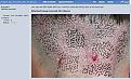 Click image for larger version

Name:	800dots.jpg
Views:	8789
Size:	45.3 KB
ID:	435231