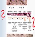 Click image for larger version

Name:	nigam-shit-x.jpg
Views:	1121
Size:	41.0 KB
ID:	436256