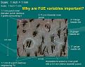 Click image for larger version

Name:	FUE-variables.jpg
Views:	1094
Size:	48.8 KB
ID:	436327