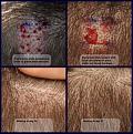 Click image for larger version

Name:	Liquid-Bandage.jpg
Views:	375
Size:	94.9 KB
ID:	436350