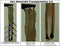 Click image for larger version

Name:	upper-part-vs-lower-part.jpg
Views:	2788
Size:	25.4 KB
ID:	436369