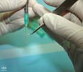 Click image for larger version

Name:	Injection-Stuff.jpg
Views:	1082
Size:	45.5 KB
ID:	436499