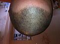 Click image for larger version

Name:	Photo 2013-05-17 15.38.45.jpg
Views:	436
Size:	94.0 KB
ID:	436553
