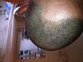 Click image for larger version

Name:	Photo 2013-05-17 15.38.33.jpg
Views:	420
Size:	94.0 KB
ID:	436554