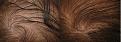 Click image for larger version

Name:	ACell-PRP-Stand-Alone-closeup.jpg
Views:	890
Size:	92.6 KB
ID:	436725