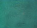 Click image for larger version

Name:	IMG_20110111_102337.jpg
Views:	406
Size:	91.0 KB
ID:	436915