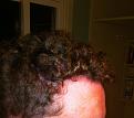 Click image for larger version

Name:	IMG_1554.jpg
Views:	747
Size:	89.6 KB
ID:	436937