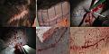 Click image for larger version

Name:	scar-repair-6x6.jpg
Views:	322
Size:	100.2 KB
ID:	437191