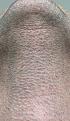 Click image for larger version

Name:	30 day with 1 day growth and no flash.jpg
Views:	672
Size:	94.9 KB
ID:	437411