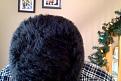 Click image for larger version

Name:	Hair Short 2.jpg
Views:	486
Size:	20.0 KB
ID:	437424