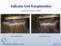 Click image for larger version

Name:	Slide23.jpg
Views:	427
Size:	92.5 KB
ID:	438305