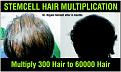 Click image for larger version

Name:	3251203.jpg
Views:	304
Size:	20.4 KB
ID:	438313