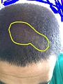 Click image for larger version

Name:	poss-thin.jpg
Views:	470
Size:	76.3 KB
ID:	438535