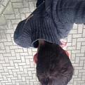 Click image for larger version

Name:	kruin_buiten_2.jpg
Views:	340
Size:	13.8 KB
ID:	438974