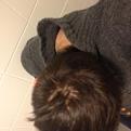 Click image for larger version

Name:	kruin_tl_2.jpg
Views:	371
Size:	9.0 KB
ID:	438975