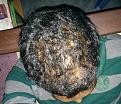 Click image for larger version

Name:	IMG_20141102_161655.jpg
Views:	396
Size:	98.0 KB
ID:	439083