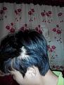 Click image for larger version

Name:	IMG_20141226_015255.jpg
Views:	1282
Size:	89.1 KB
ID:	439262